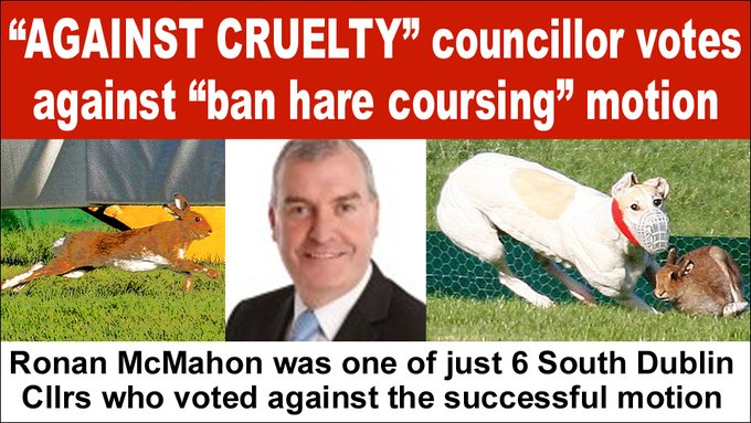 #LE24 candidate Ronan McMahon (Ind, #Rathfarnham #Templeogue) voted against a #BanHareCoursing motion (despite previously declaring that he was against the cruel bloodsport) 👎👎 banbloodsports.wordpress.com/2019/11/14/sou… Reject candidates who support #AnimalCruelty