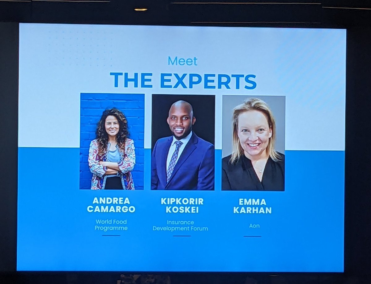 Leading experts in #parametricinsurance for the <a href="/fiforumuk/">Financial Inclusion Forum</a> event in concert with #Aon and #insurancedevelopmentforum. Thank you panellists! Superb!