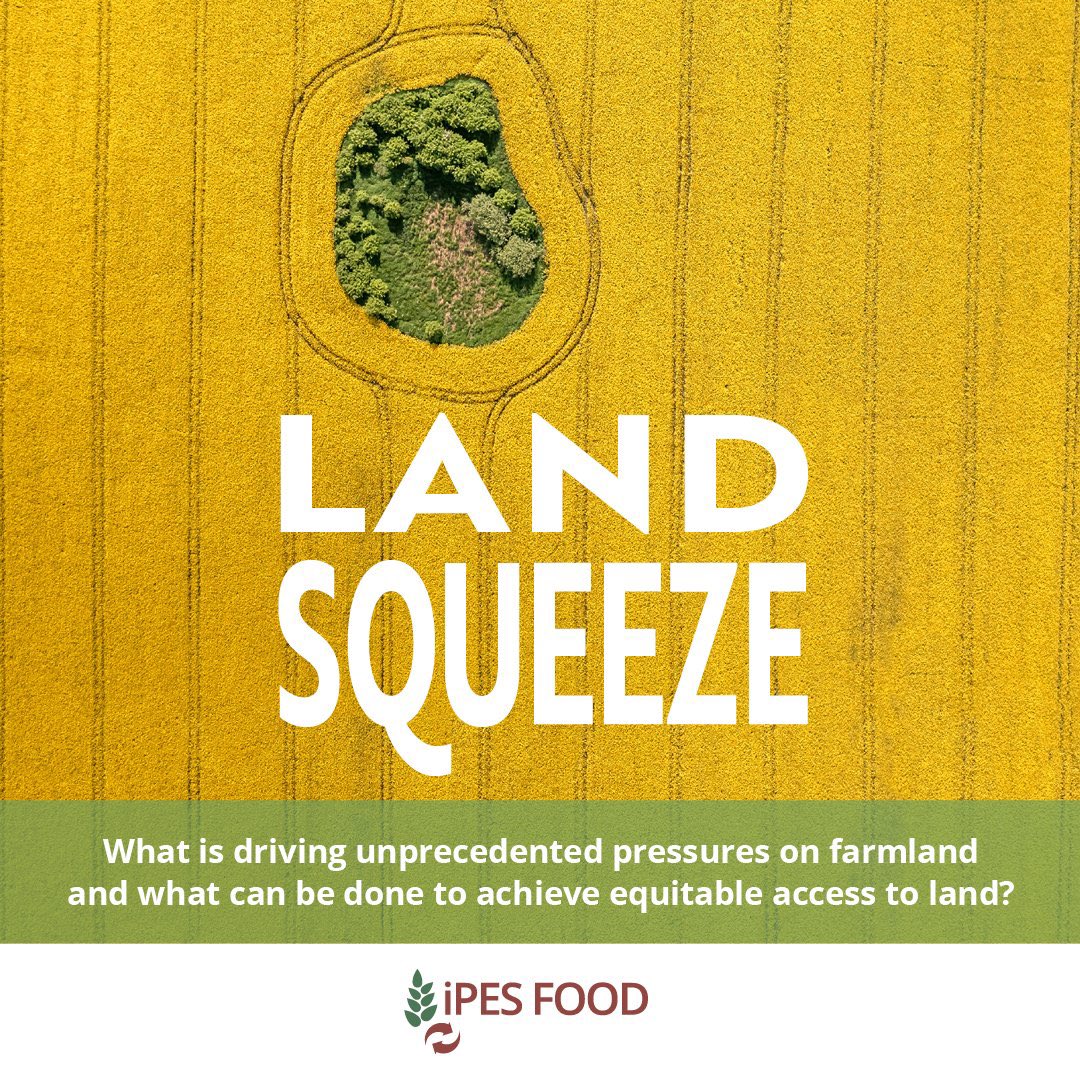 Small and medium-scale farmers are the backbone of our #FoodSystems @ipesfood calls for a new deal for farmers and rural communities, prioritizing #AccessToLand, #FairPrices, #SocialSecurity & #Agroecology incentives #LandSqueeze Report EN/ES/FR/PT : 👉 ipes-food.org/report/land-sq…