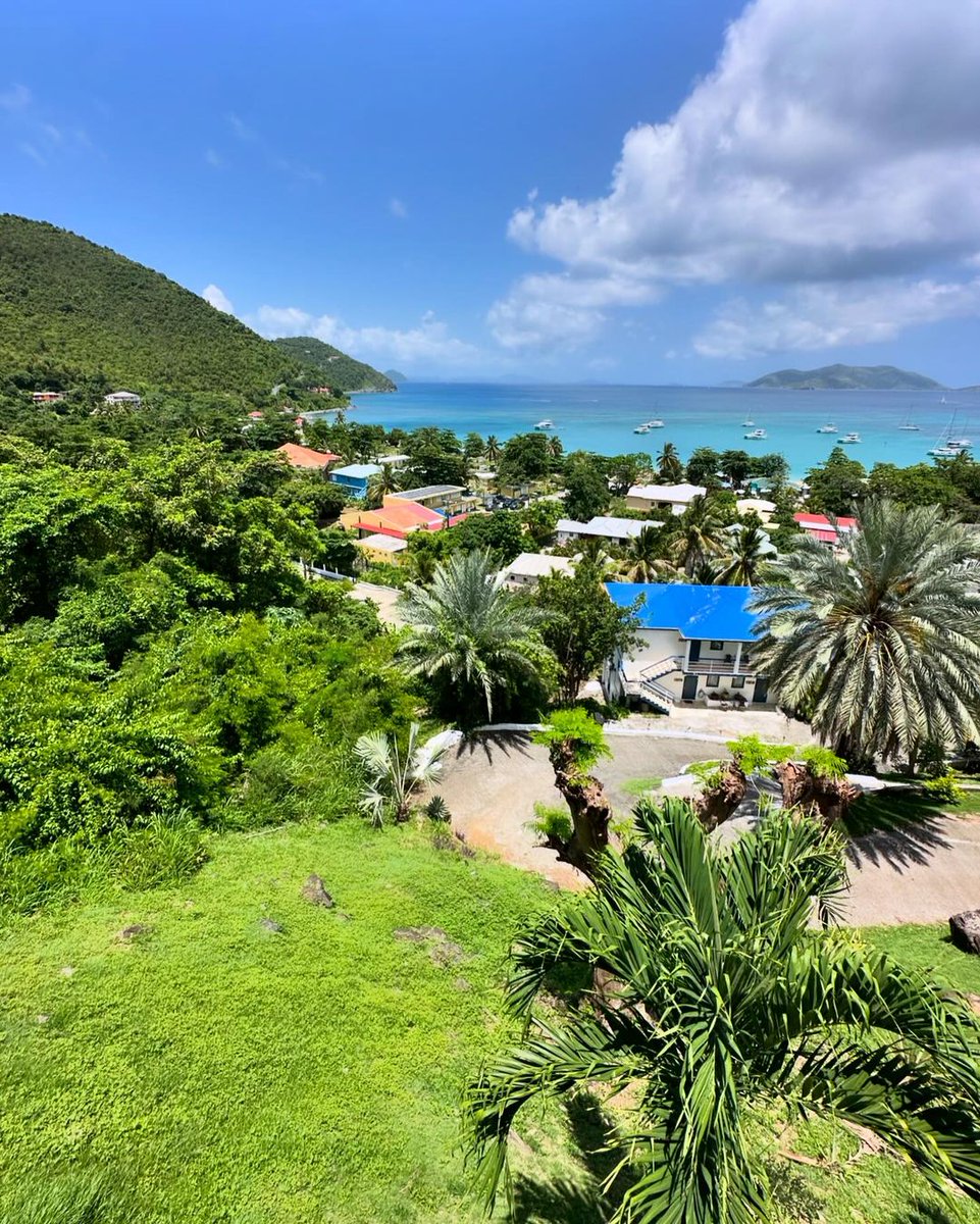 Lush lands and beaLush lands and beautiful seas. Our hillside views are something you just can't beat. 😎🌴 🌊 

📍 Coconut Breeze Villas x Cane Garden Bay 

#bvi #britishvirginislands #caribbeantravel #caribbeandestination #travel #travelblog #tropicalvacation #OURBVI #YourBVI