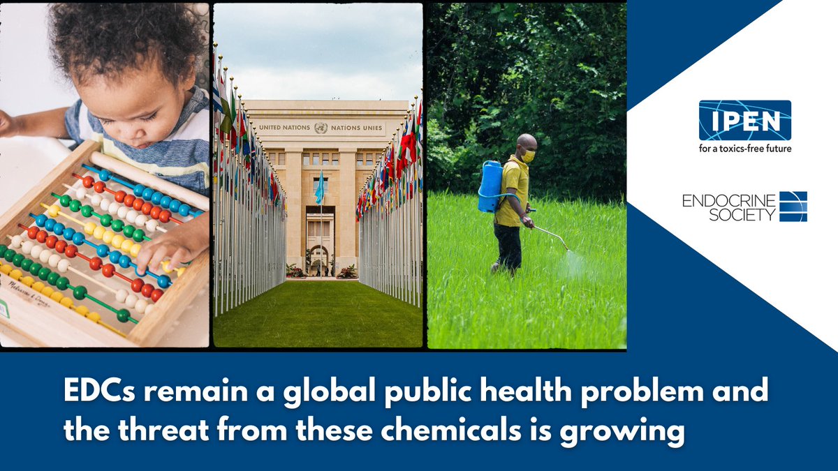 Our latest report with @TheEndoSociety raises new concerns about the profound threats to human health from endocrine disrupting chemicals (#EDCs) that are ubiquitous in our surroundings and everyday lives. Learn more and download the report: ipen.org/documents/endo…