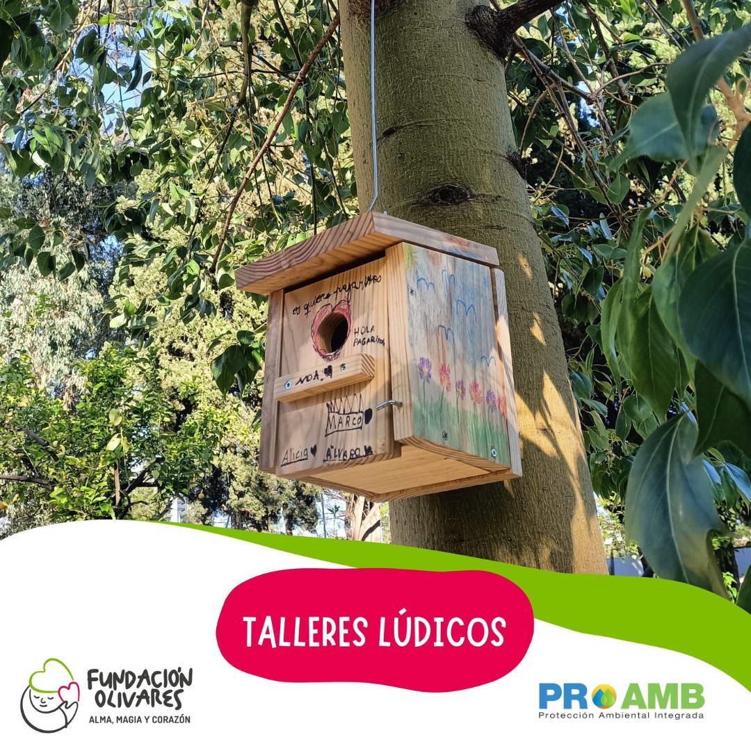 Proambintegrada's tweet photo. El pasado 6 de mayo, tuvimos el placer de realizar una actividad de #educaciónambiental en @FundOlivares
Con nuestros peques y voluntariado de @FundlaCaixa construimos #cajasnido para #aves #paseriformes que customizamos y colocamos en el Jardín de La Noria 🌳 https://t.co/JtDnfXhE2a