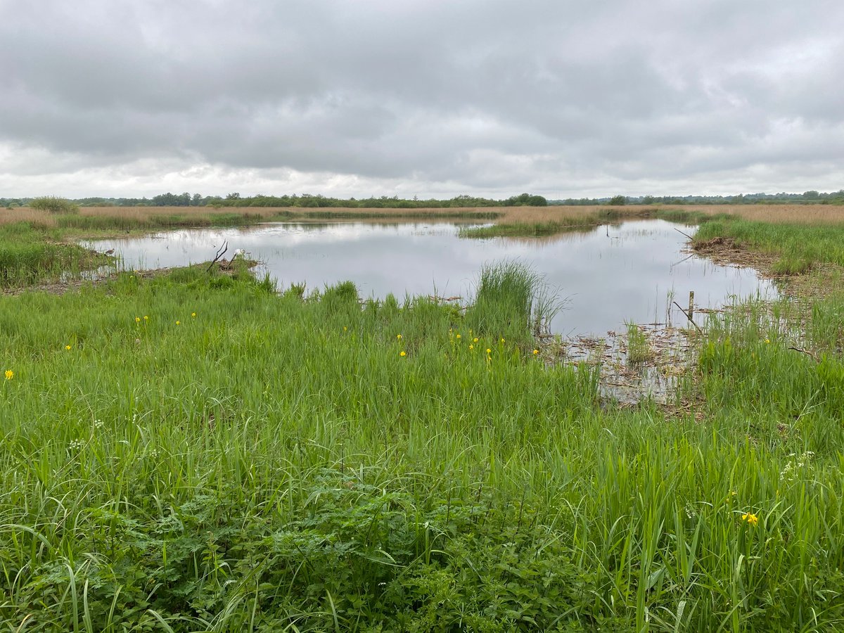 Stephen Howell tweet media