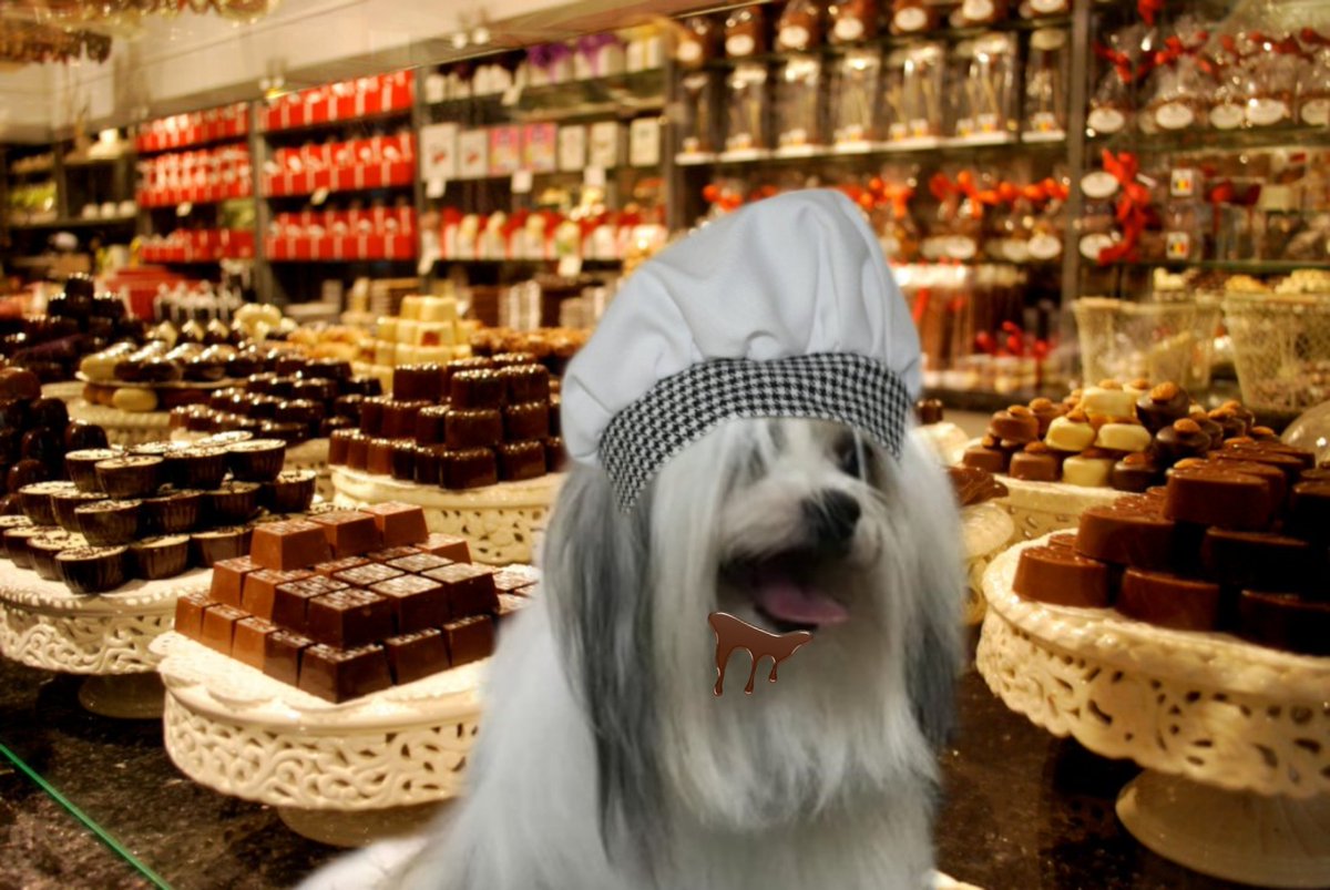 I'm here
I'm here
I'm here
Welcome to #FurryTails 
I will be your barktender for the next hours
All pals welcome
I'll be over here playing my triangle