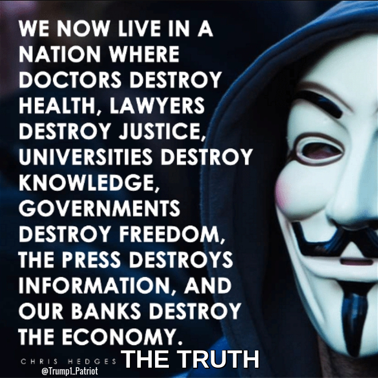 ꧁🍊I Follow Back🍊 🇺🇸🏆'TRUMP WON' 🏆🇺🇸 💫💫💫💫💫💫💫💫 🇺🇸👍TRUMP TRUTH👍🇺🇸 @bdonesem @RedNeckPapa6291 @brexit_blue @MikeGil21446788 @mil_vet17 @zeteamd @Kevinosjcp @MRDANNYTRAN @TJDOGMANR2 @BlackPillPirate @sapiofoxx @ken_kmak8542 @x4eileen @Dave00452 @Cel_on_X