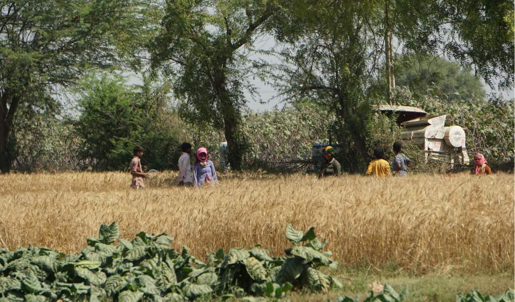 Institute of Development Studies (@ids_uk) on Twitter photo As #Heatwaves strike parts of South Asia again and scientists fear 2024 could see more record-breaking temperatures, researchers from <a href="/Anticipate_CC/">ANTICIPATE</a> and <a href="/AIDMI_ORG/">AIDMI</a> <a href="/meghasheth6/">meghasheth</a> <a href="/shibajibose1/">shibaji bose</a> share vital lessons we need to learn from past heatwaves 👇
ac.pulse.ly/dls0fg8l0o As #Heatwaves strike parts of South Asia again and scientists fear 2024 could see more record-breaking temperatures, researchers from <a href="/Anticipate_CC/">ANTICIPATE</a> and <a href="/AIDMI_ORG/">AIDMI</a> <a href="/meghasheth6/">meghasheth</a> <a href="/shibajibose1/">shibaji bose</a> share vital lessons we need to learn from past heatwaves 👇
ac.pulse.ly/dls0fg8l0o