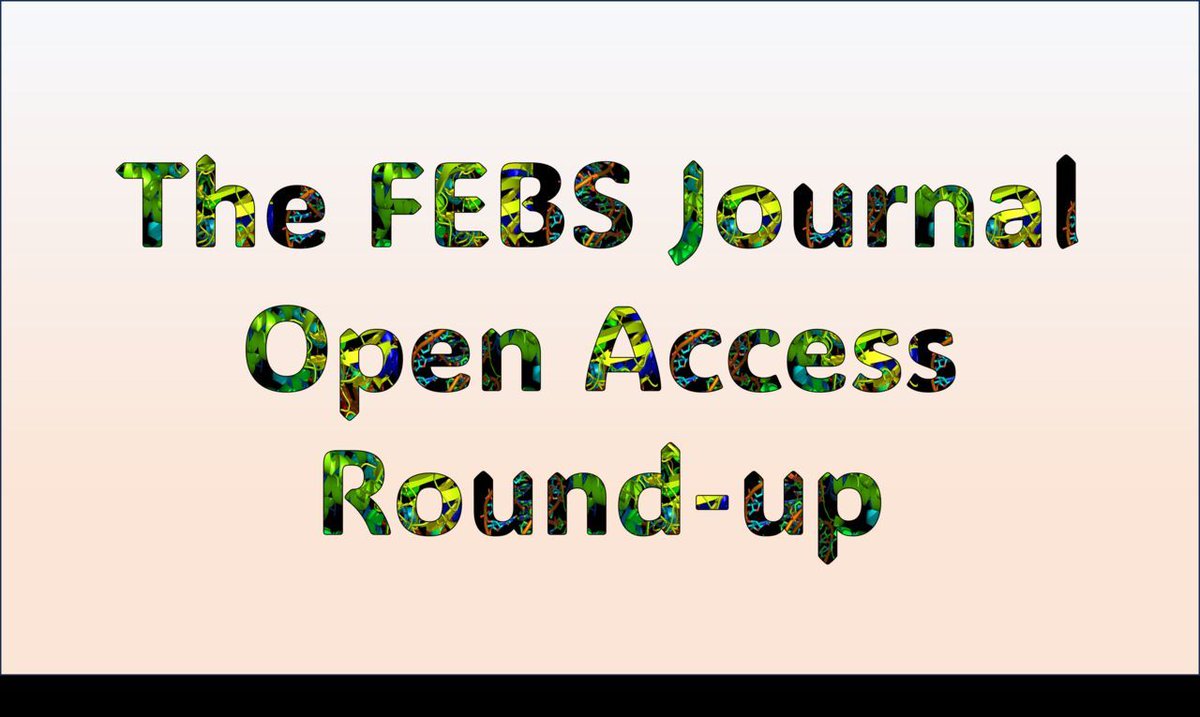 🥳 It's time for another #OpenAccess round-up. Our monthly series highlighting brilliant open access papers published in The FEBS Journal. Stay connected with #FEBSNetwork for more updates @FEBSnews #ECRChat #ScienceTwitter 🔗 buff.ly/3wIeTQQ
