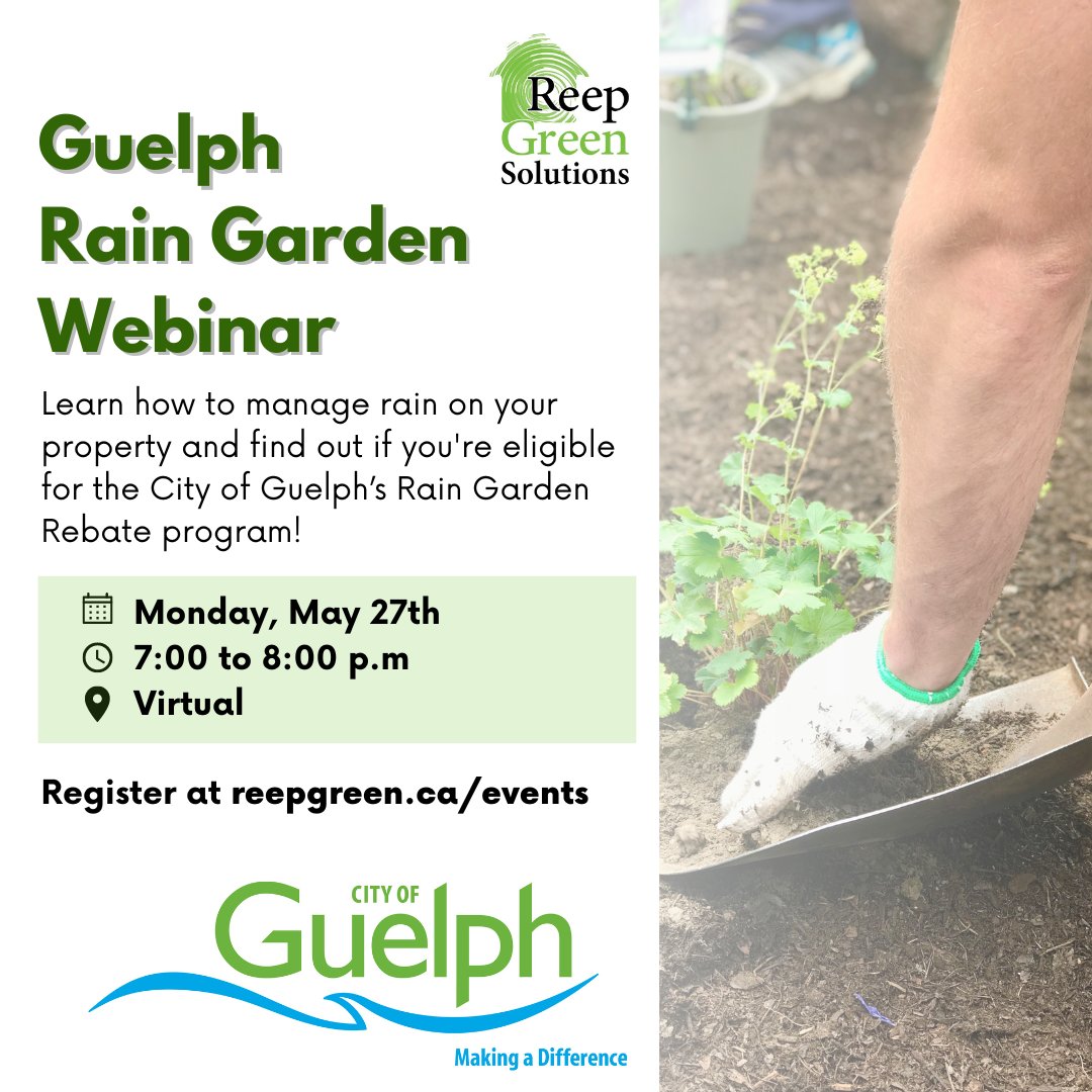 Learn how to beautify your landscape and manage rain on your property sustainably with our Guelph Rain Garden Webinar Series! 🌧️ 👉 Find out if you're eligible for the City of Guelph’s Rain Garden Rebate program. Spots are limited! Register today: bit.ly/3wqokoa