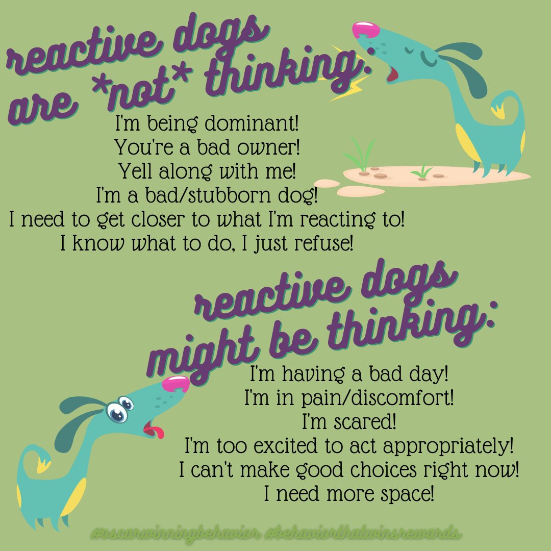 Reactive dogs aren't bad dogs. They're dogs having a bad time. 
#DogBehavior #CSAT #CDBC #ADT #iaabc #iaabcPets #FearFreePets #OscarWinner #OscarWinningBehavior #BehaviorThatWinsRewards