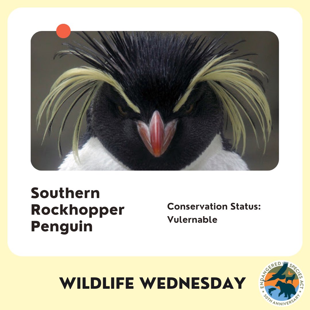 ESA at 50 tweet media