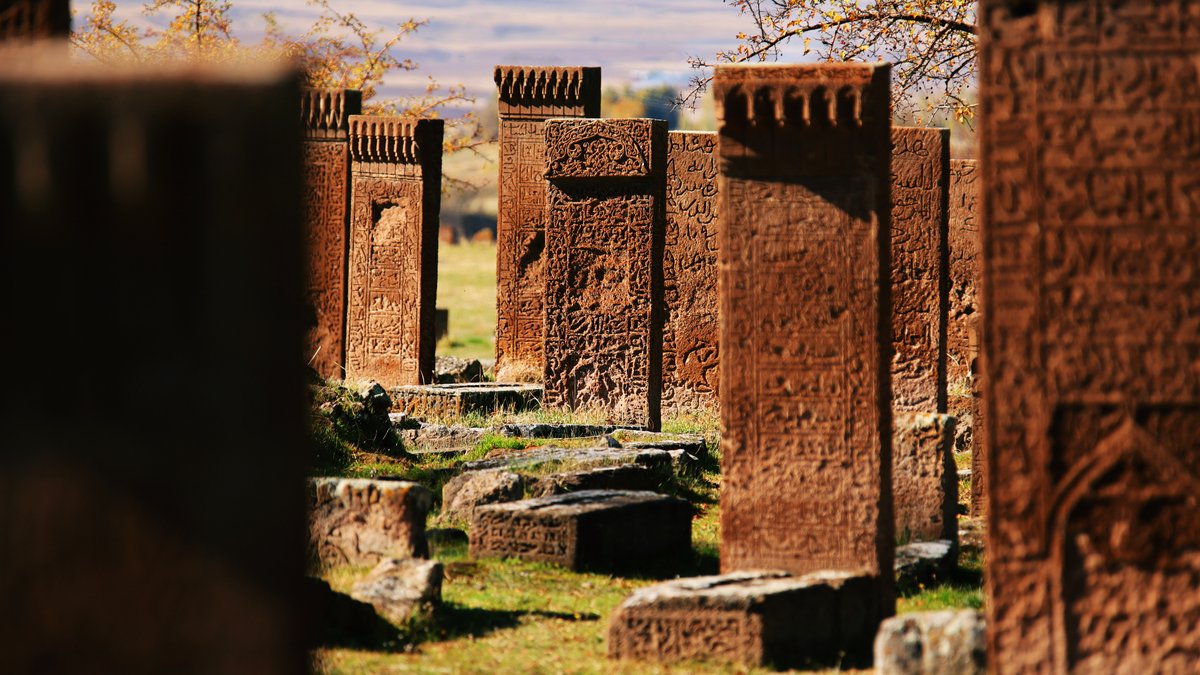 Come, #discover Ahlat, where every stone speaks volumes about our shared past, and you can emerge with a wiser perspective on the present. (Ahlat Seljuk Tombs, Bitlis) #Türkiye