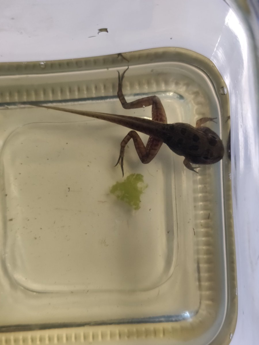 Erica Walker tweet media