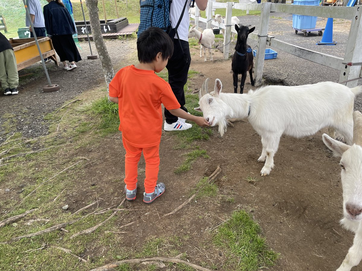先週末のFUJI&SUNが盛りだくさんで楽しかったです。
子供がヤギに餌を与えるのを見守りながらでもCKB、cero、くるり、石野卓球、maya ongaku、民クル、シャッポ、dos monos、鎮座、柴田聡子あたりをしっかり見れた。
いい規模感！
 #fjsn