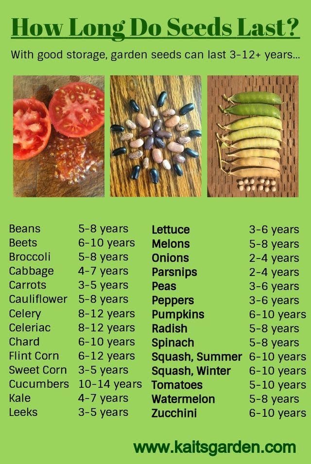 Resistance is Fertile. 

Plant, plant, plant. Its saves on Health care, saves Finances, and helps the Environment.  Support your local Farmers and Farmers Markets too. Resistance is Fertile!🙏♥️🌹

#MotivationalQuotes
#MotivationalThought 
#Motivation #fertility