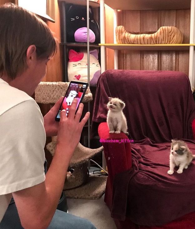 im crying why is this them