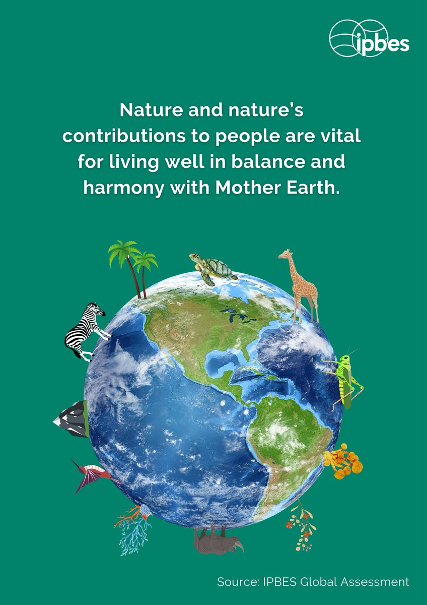 #DYK that according to <a href="/IPBES/">ipbes</a>  #GlobalAssessment:

“Biodiversity is declining faster than at any time in human history”🌿

Access the report📙

ipbes.net/global-assessm…