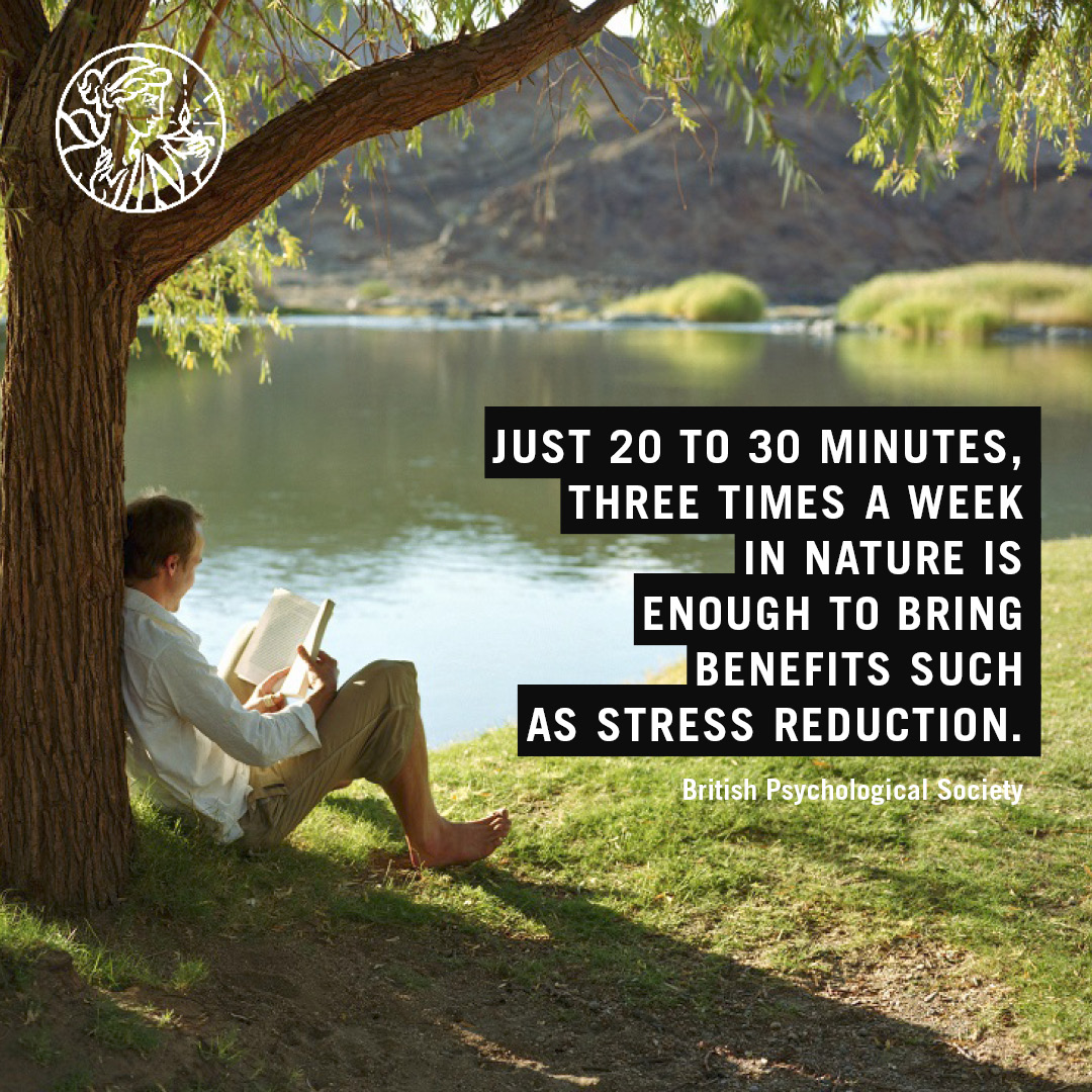 British Psychological Society (@bpsofficial) on Twitter photo Could spending time in nature help restore your brain to healthier functioning?
To mark #MentalHealthAwarenessWeek Clinical Psychologist, Stuart Whomsley <a href="/Bossloper/">Stuart Whomsley</a> looks at the benefits of taking a walk and spending time in nature.
Here's what he found: bps.org.uk/blog/stress-re… Could spending time in nature help restore your brain to healthier functioning?
To mark #MentalHealthAwarenessWeek Clinical Psychologist, Stuart Whomsley <a href="/Bossloper/">Stuart Whomsley</a> looks at the benefits of taking a walk and spending time in nature.
Here's what he found: bps.org.uk/blog/stress-re…