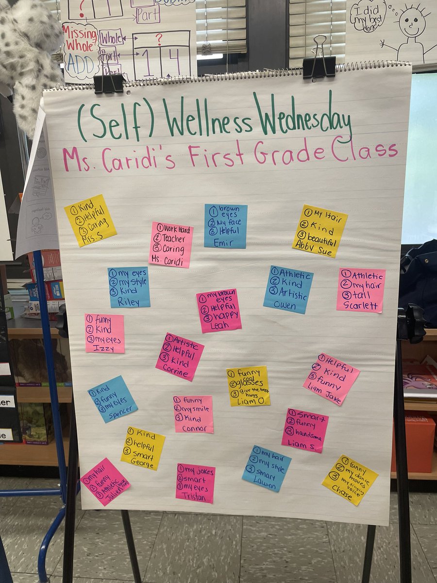 Mental Health Awareness Week! We loved adding in an activity for (Self) Wellness Wednesday today during morning meeting!💚✅⚓️