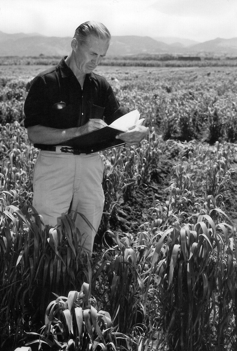 Dr. Borlaug’s worldwide impact continues to inspire. The American Society of Baking at the BakingTech Conference inducted @CIMMYT founder as a wheat pioneer in the Baking Hall of Fame. bit.ly/3UxBn09