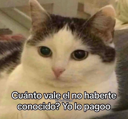 GiuPereda's tweet photo. dime pa romper la alcancía https://t.co/cKP5oYRIhD