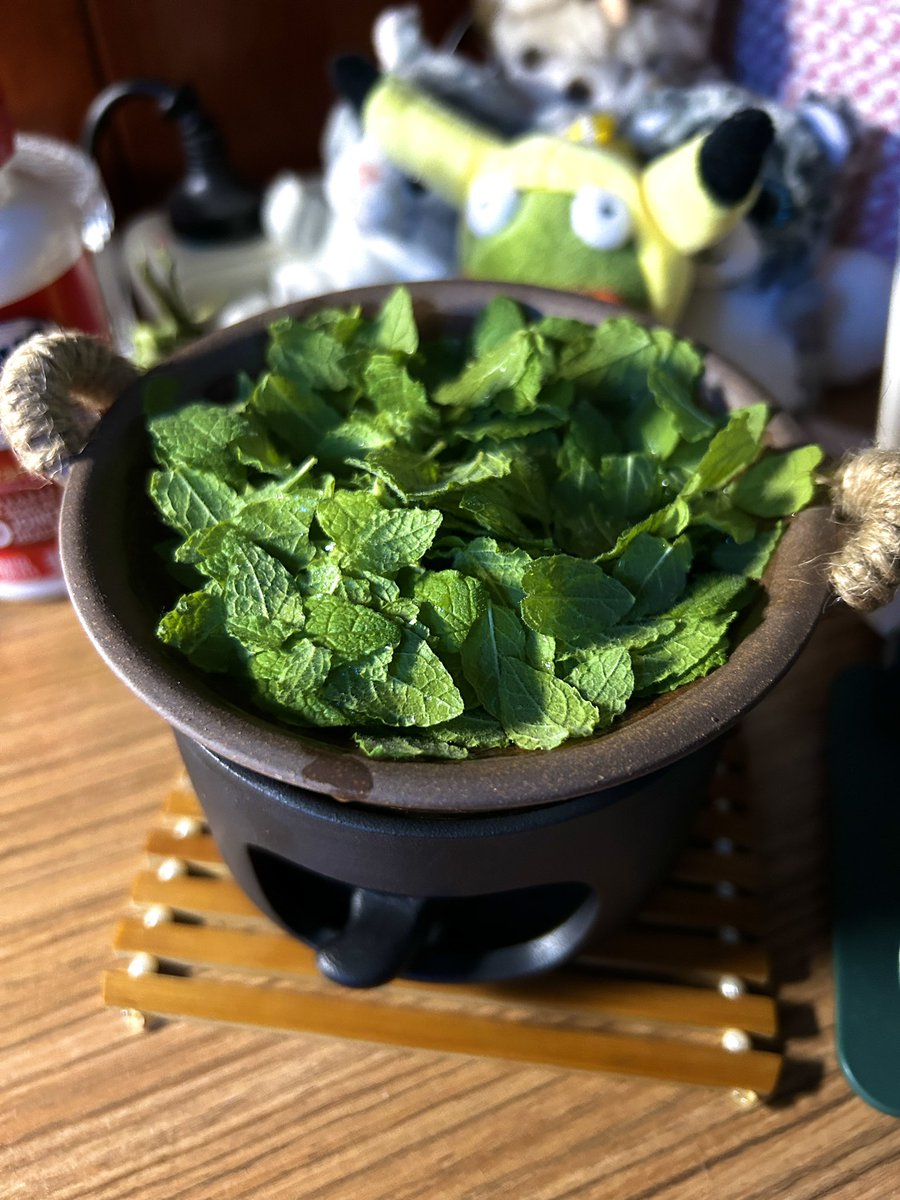 Bake freshly picked mint as an aromatherapy🌿