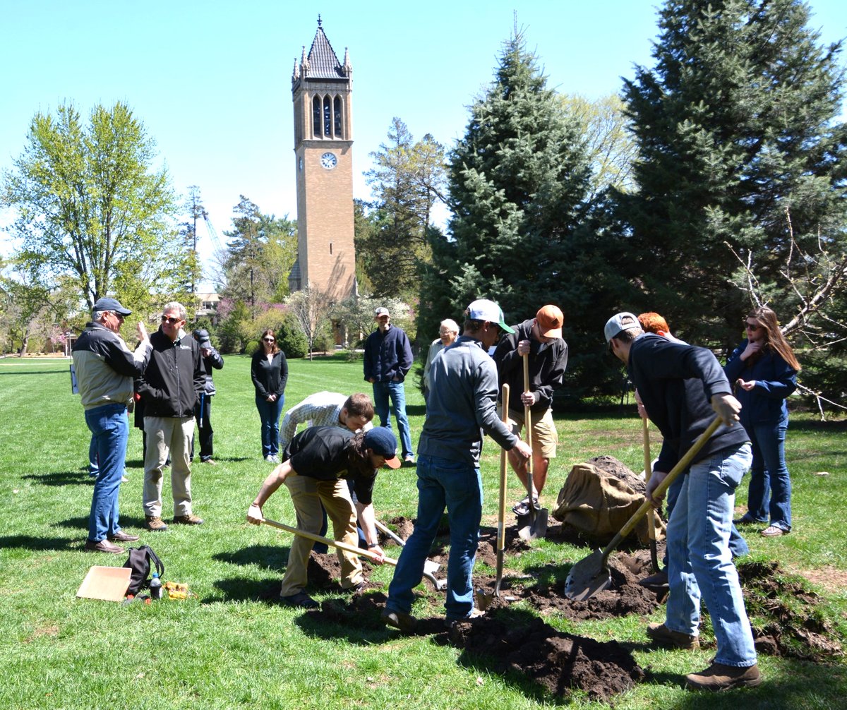 Want to cause trouble for future generations? Plant the wrong tree. Proper tree selection is very important for healthy and long-lived trees. Read all about it at extension.iastate.edu/news/yard-and-… From @ISUExtension and @ISU_YardGarden. @drbillyjbeck @arborday @Trees_Forever @ISUANR