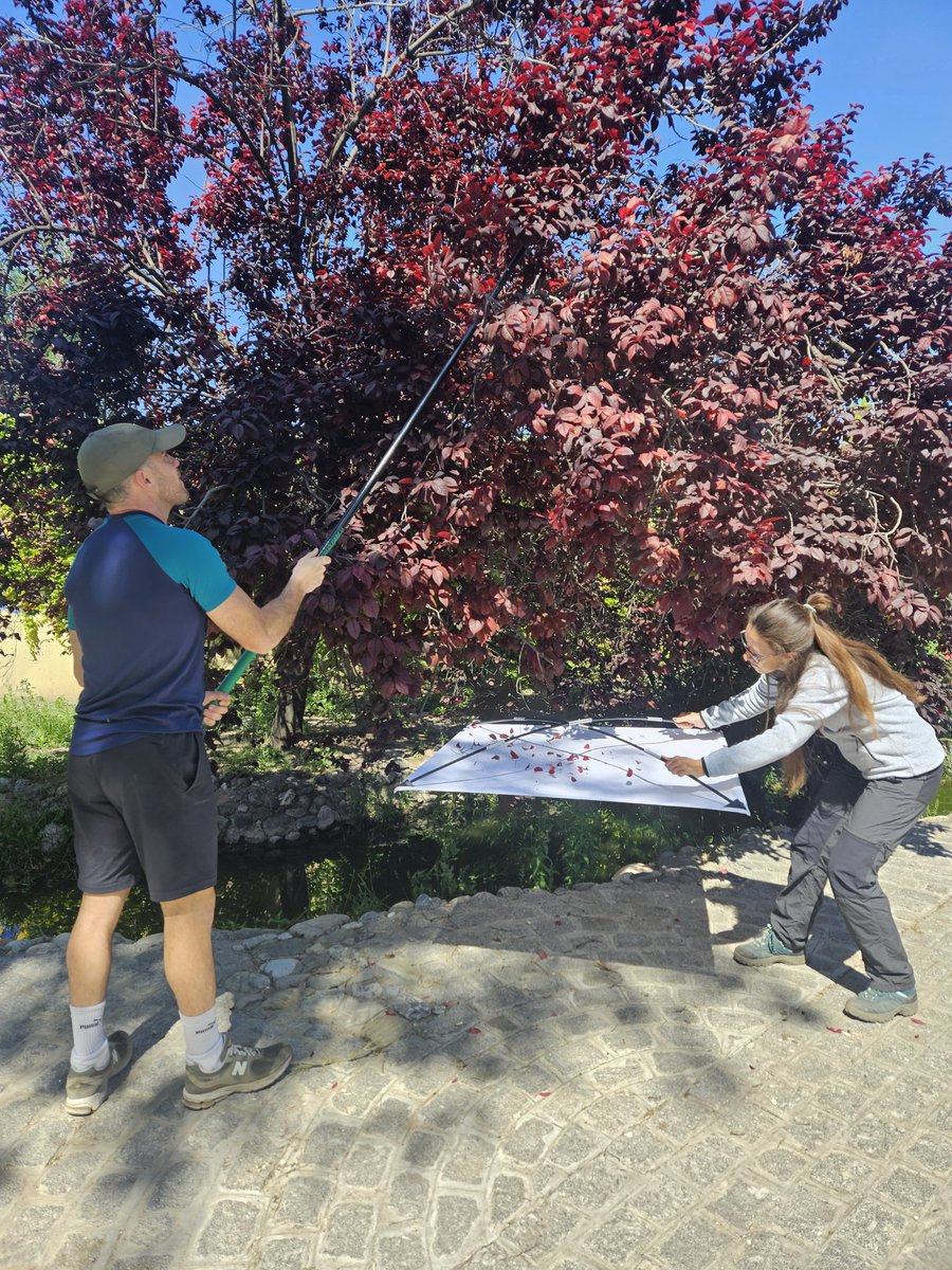 We're excited with our first day of field work at the García Lorca Park!