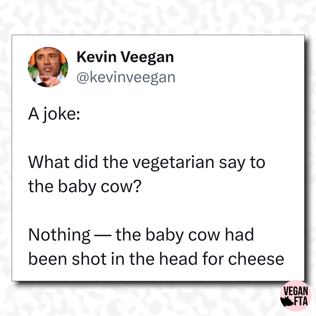 Not really funny is it. But it is true. 🙁 Baby cows are killed for dairy. Go vegan. 🐮 👉Sign the Petition to Tell New York Not to Build a Massive Dairy Production Facility: drove.com/.2Hl8 📷 VeganFTA Tweet from @kevinveegan #veganism #vegetarian #cows #milk #dairy