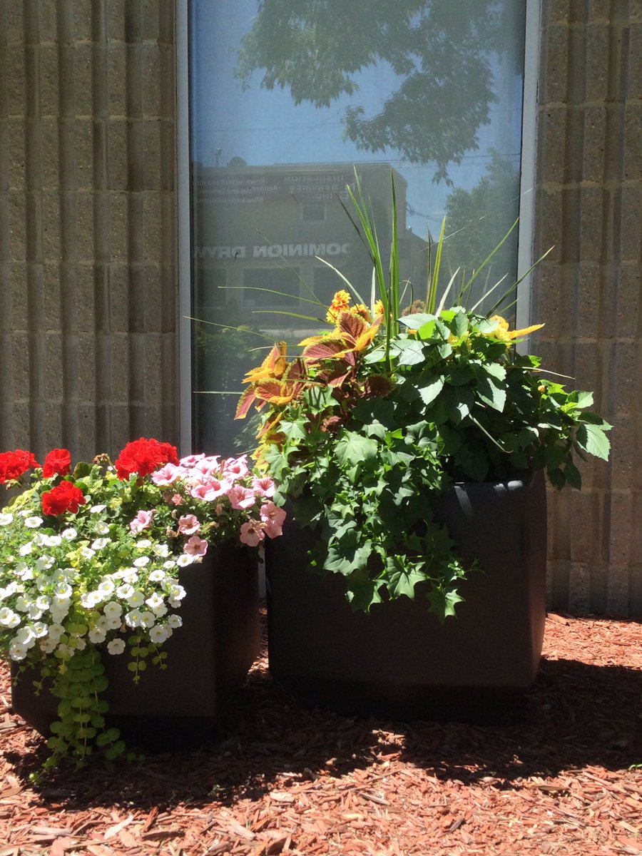 The Versa square #selfwateringplanter!This great design will create the WOW factor on your deck, patio and pool,built for your outdoor spaces. Comes in 2 sizes & 17 Colors. Make your community a greener space! @DesertPlanters #city #parks #municipalities #town #pool #landscape