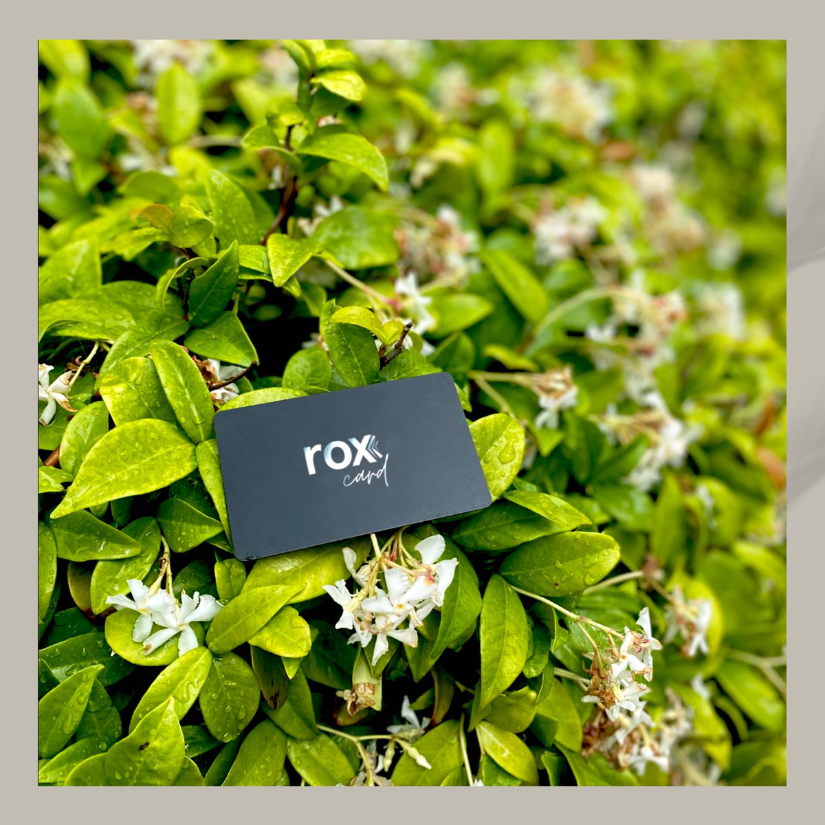 Rox Card, doğayı korumanın en şık yolu! 💚

#RoxCard #DijitalKartvizit