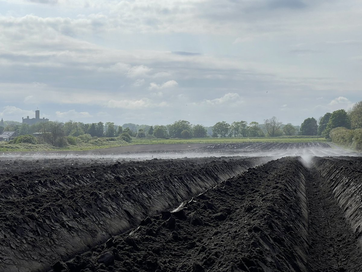 David Park tweet media