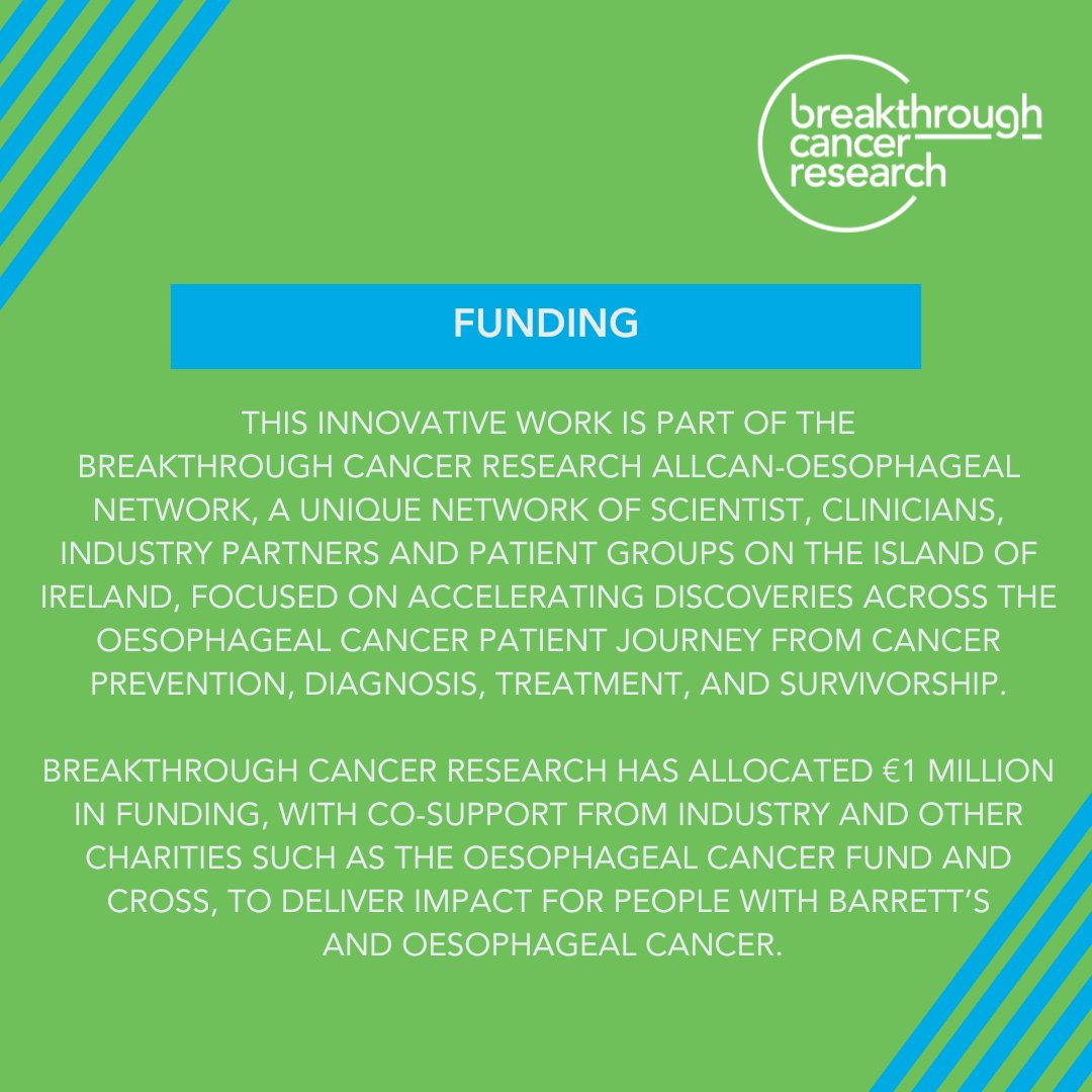 🥼On World Barrett’s Oesophagus Day we're thrilled to share research by the @AllCaN_BCR Network led by @JacinthaOS is targeting inflammation in Barrett’s oesophagus, a condition affecting the food pipe that increases #OesophagealCancer risk. Learn more👉bit.ly/BarrettsDay