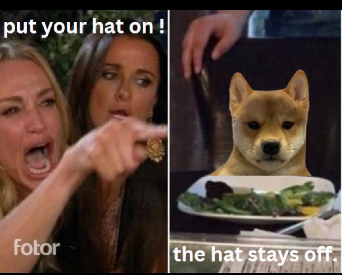 @GoingParabolic We don't need Hat ! I say $NOHAT 
- meme 2024🔥🚀
- Solid community 
#DYOR