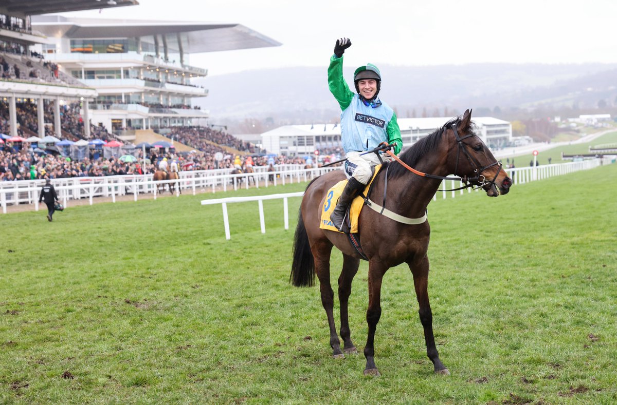 The Spring Store has produced some impressive results not least YOU WEAR IT WELL She won £95,000 from GBB & has had an enviable career including winning the Dawn Run Mares' Novices' Hurdle @CheltenhamRaces in 2023 Find your own YOU WEAR IT WELL - 🔗greatbritishbonus.co.uk/gbb/sales/sale…