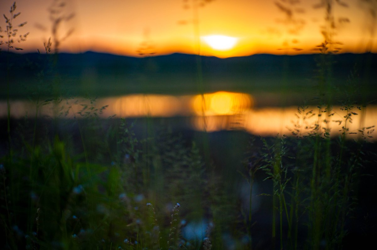 M9とCanonの相性が良すぎて泣きたい

M9　Canon50mm F1.4 L39