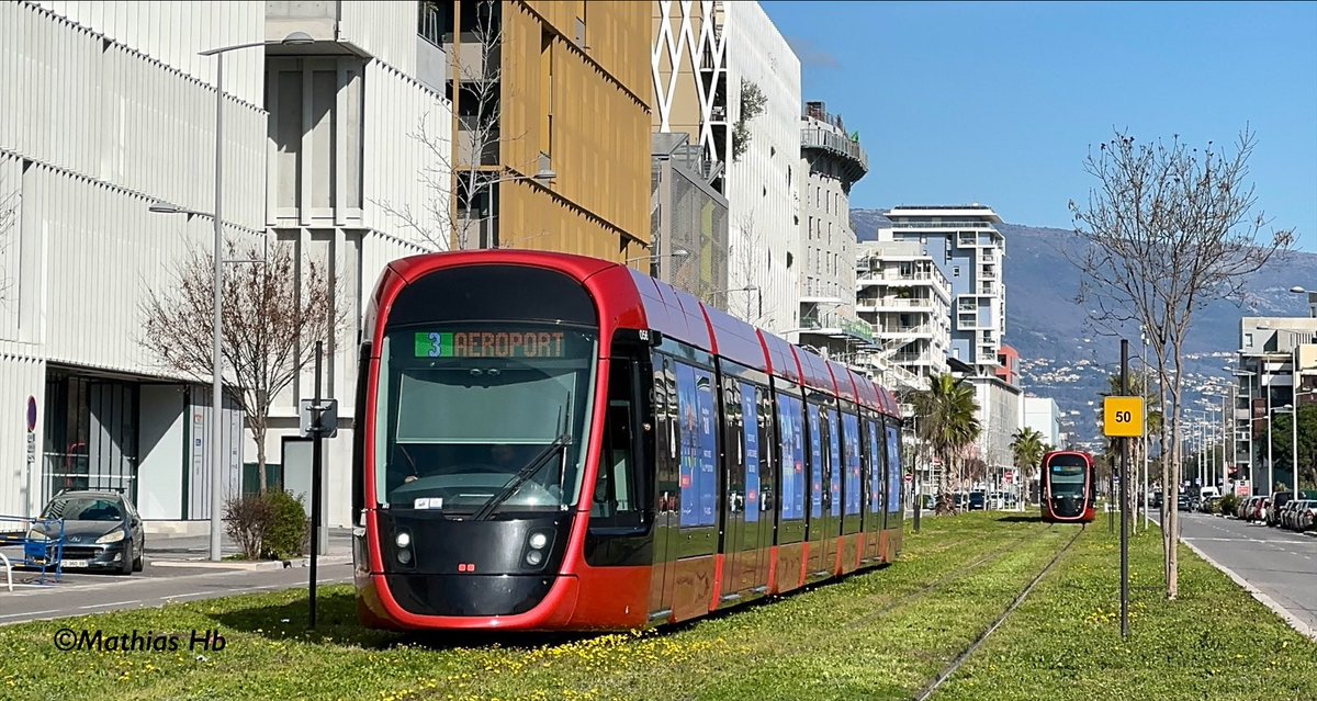 Un peu de soleil☀️ Niçois ! 

Rien de plus beau qu’une @Alstom Citadis 405 du réseau @lignesdazur sur son tapis de verdure🌿

🔍Les Citadis 405 Niçoises du designer @Studio_Ora_Ito disposent de la « SRS » (recharge statique par le sol). 

#Nice #Tramway #Mobilités #Alstom