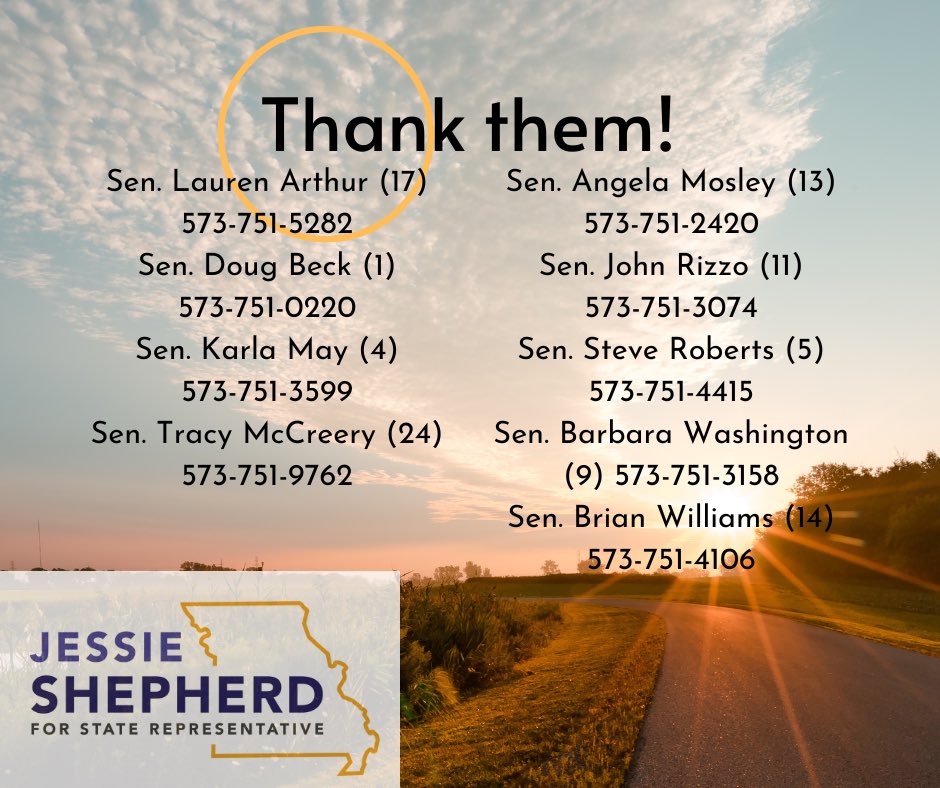 Thank you to the 9 #MOSen democrats who are fighting to protect one person, one vote and taking a stand against deceitful ballot candy!