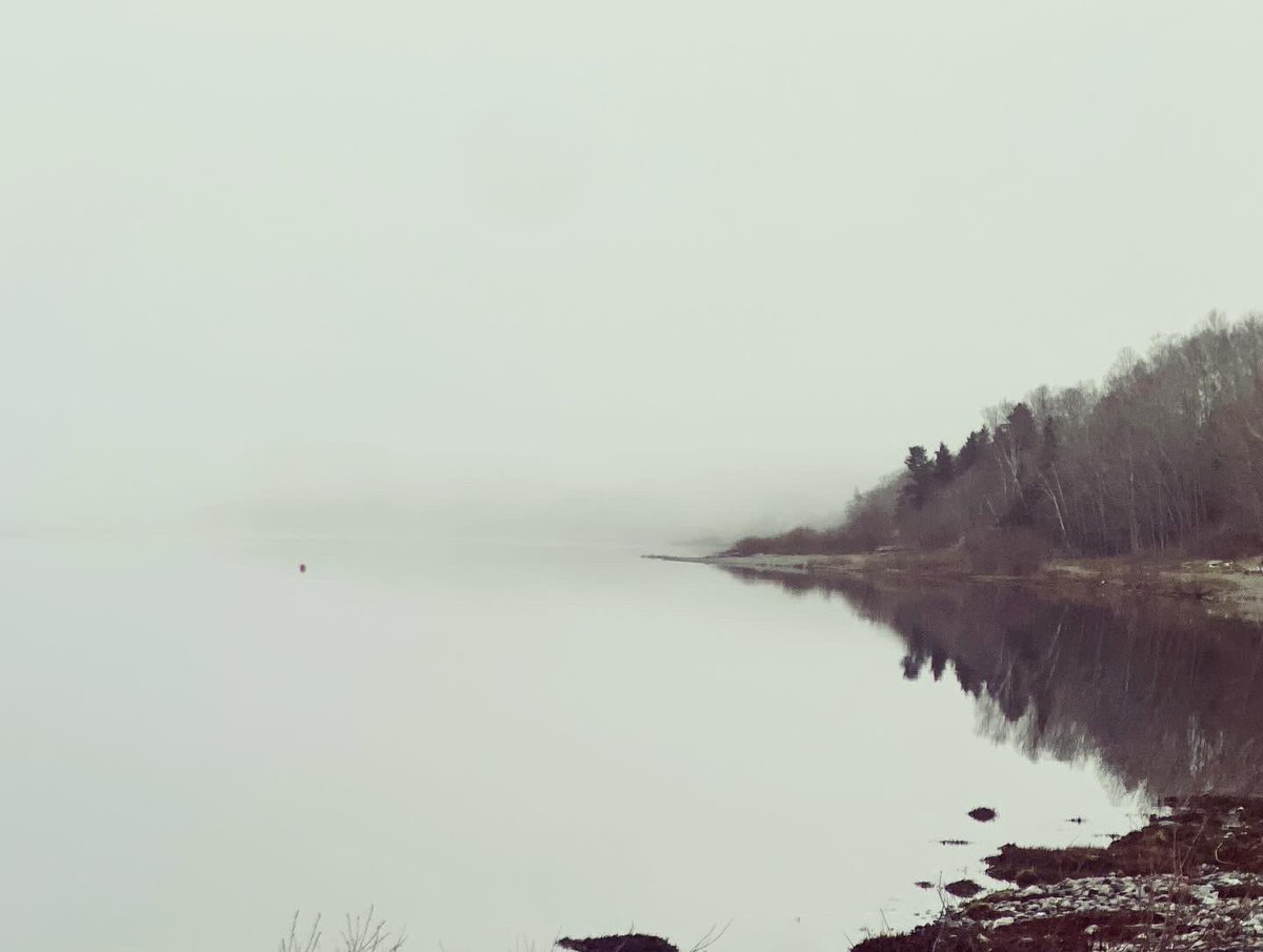 ShellLeDrew's tweet image. Pasadena Beach. Quiet mornings.