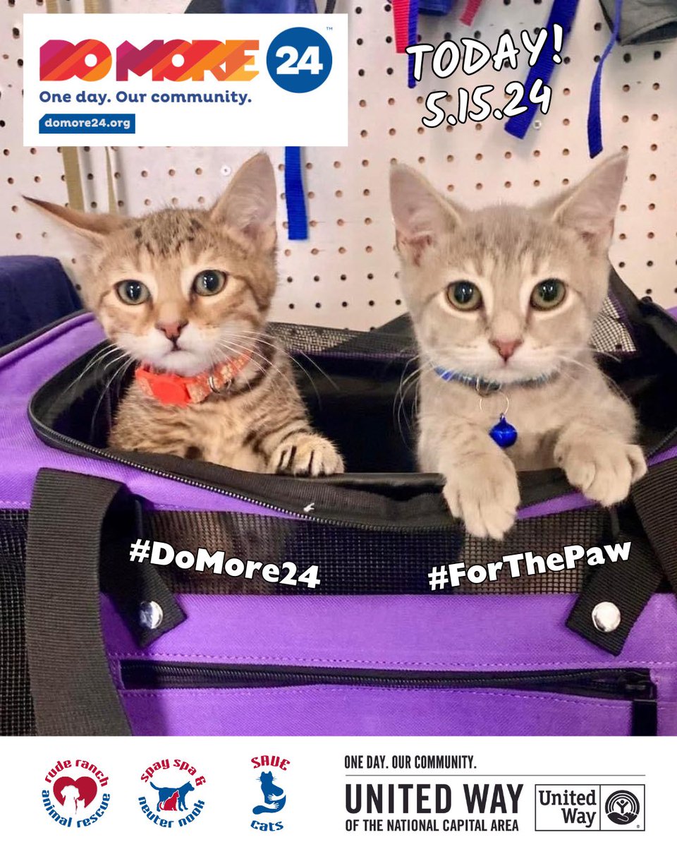 #SellYourselfIn5WordsOrLess: cute kittens!

(Want to help babies like these? Today is #DoMore24 - our area’s biggest 24-hour fundraising event, and we’re trying to raise $500 for pets in need. Want to support our lifesaving programs? Donate now: domore24.org/ruderanch or share!)