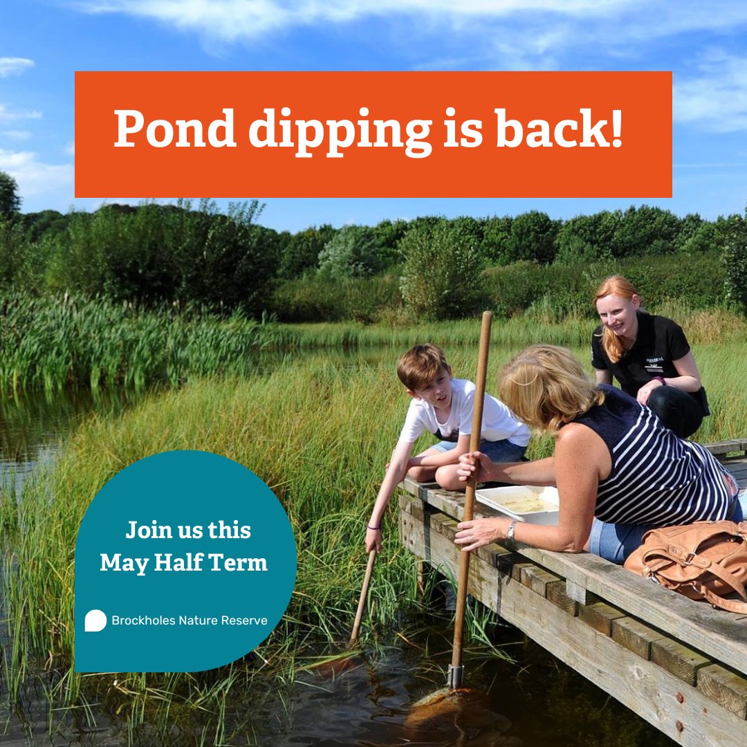 💧 Pond Dipping is BACK! 💧 This May Half Term our ever popular pond dipping sessions are back at Brockholes! We provide all the equipment, you just need to turn up with a wild eye 🤩 Explore what lies beneath the surface of the water, book here ➡️ bit.ly/44PWWwA