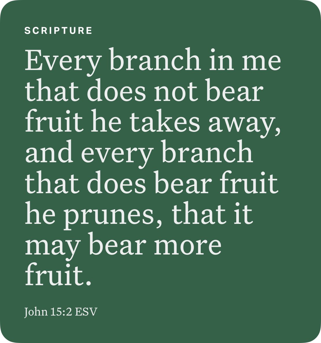 John 15:2 ESV bible.com/bible/59/jhn.1…