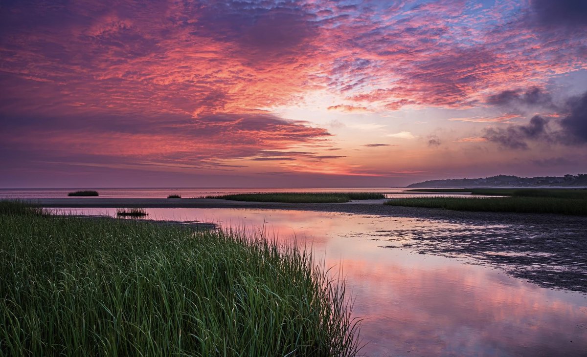 Paine’s Creek Brewster #CapeCod
By ~ Bob Amaral