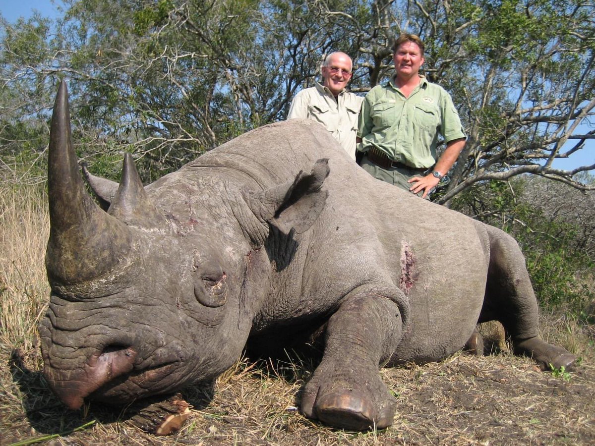 Peter Thormahlen (right) of Thormahlen & Cochran Safaris & client with a black rhino. They are 'critically endangered' but WTH trophy hunt them into oblivion.
#BanTrophyHunting 🤬RT
@SARA2001NOOR @Angelux1111 @Gail7175 @DidiFrench @Lin11W @PeterEgan6 @RobRobbEdwards
