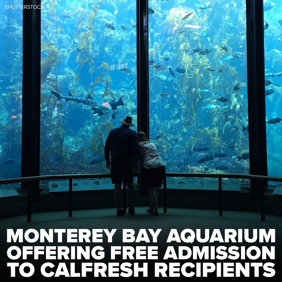 Starting May 27th, the Monterey Bay Aquarium will provide free admission to anyone enrolled in the federal food assistance benefits through SNAP, also known as CalFresh. abc7ne.ws/44J2jgU