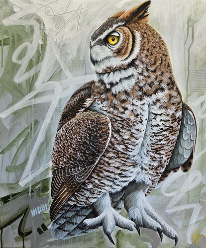 HOO is an art lover? Is it YOU?! 
Heidi Holloway, Great Horned Owl (Bubo Virginianus), Acrylic on Canvas, 20'x24'
#localart #halifaxart #halifaxns #canadianart #artwork #owlart #birdart #realism #canadianart