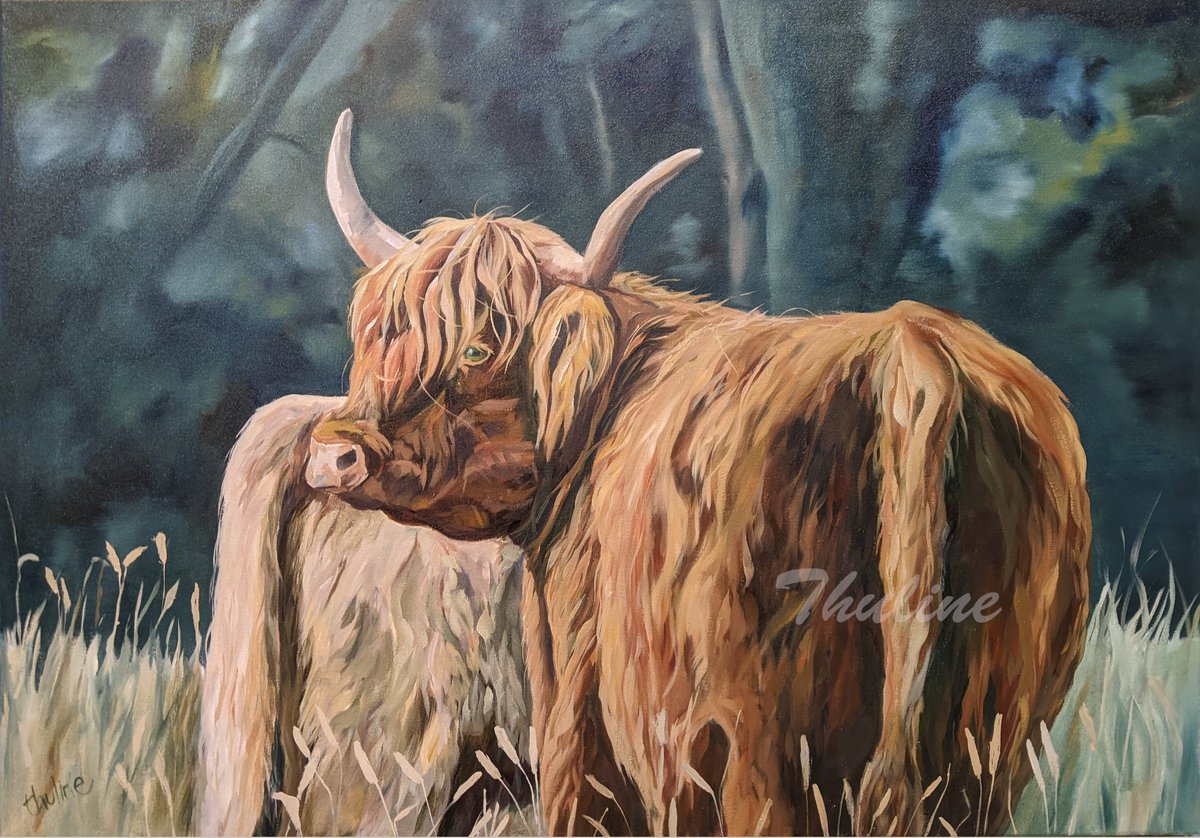 Here is another one I did in the last few months.
'Over my shoulder', #Oilpainting on deep canvas, 28x40'(70x100cm) £1200.
#highlandcow #cowseverywhere #farmlove #cowsofinstagram #cows #farmanimals