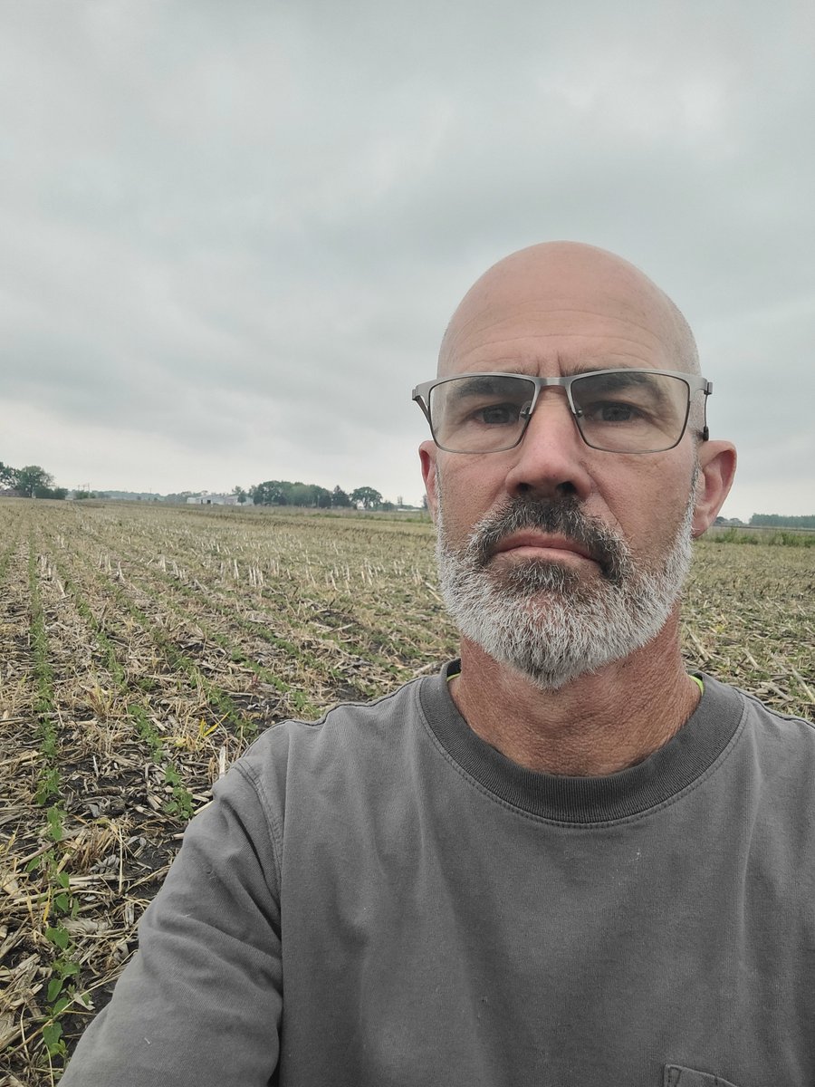 This week's #plant24 update comes from Jeff O'Connor, farmer and director with the @ILSoybean Association. 'This week in NE Illinois has been a repeat of the last five, a couple days of nice progress and then rain abruptly halting that momentum for the balance of the week.' (1/4)