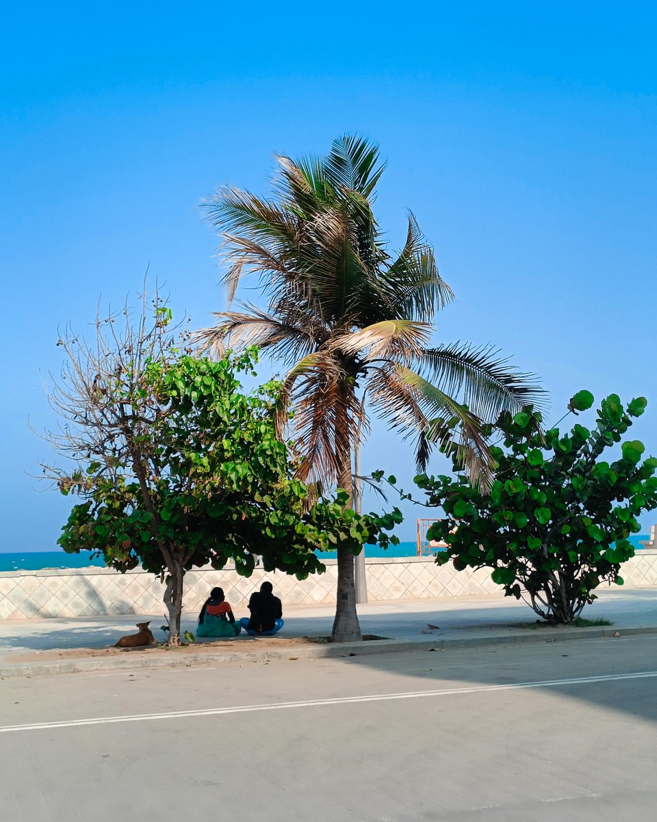 Pondicherry 🌴
