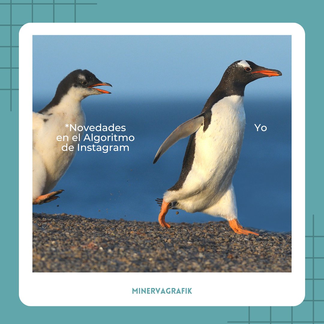 Yo cada vez que #Instagram anuncia cambios🏃‍♀️💨
¿A alguien más le pasa? 🙉🙈
Escríbeme en los comentarios y ¡compartamos tragedias! 🙃
.
.
#minervagrafik #diseñadoragrafica #estudiocreativo #oviedo #asturias #designerlife #memesdaily #algoritmoinstagram #malditoalgoritmo