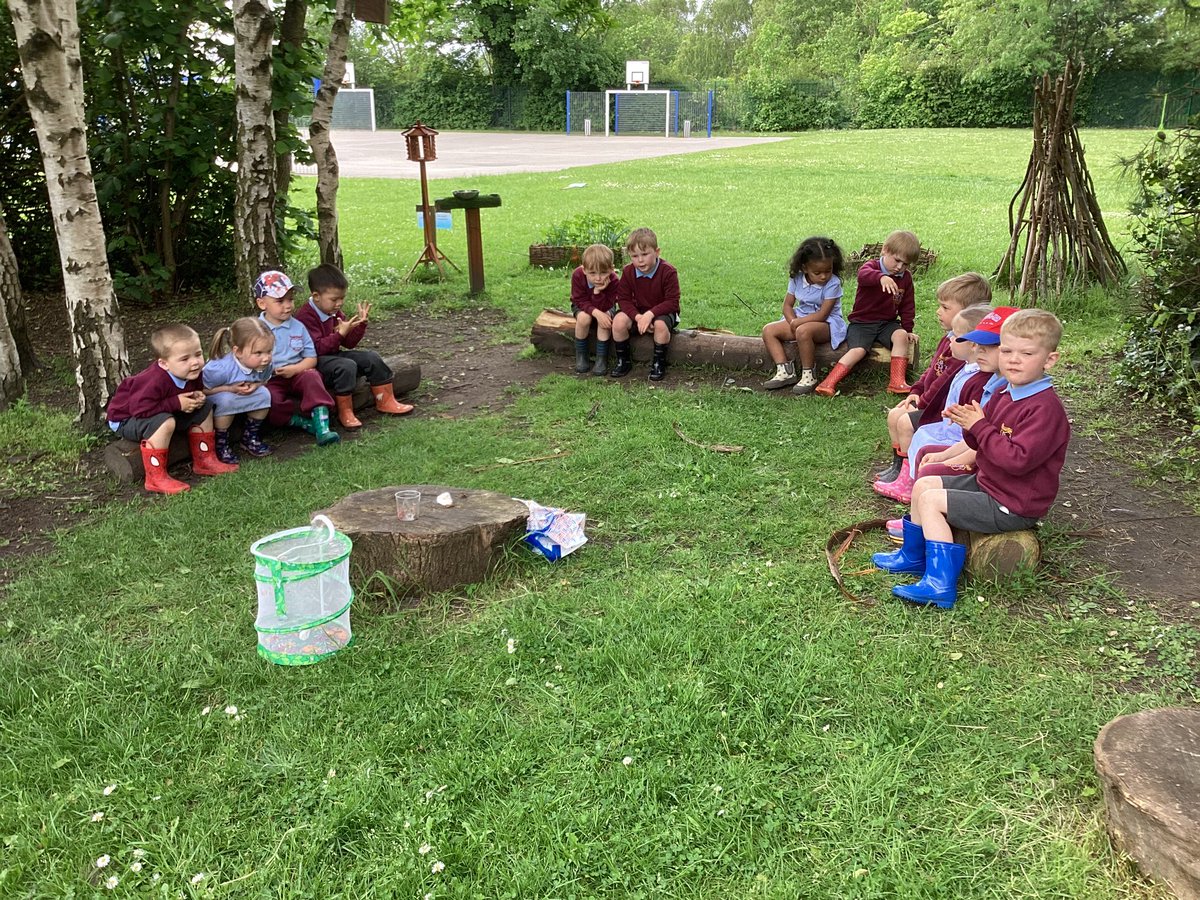 StBellarmine's tweet photo. Over the last few weeks Nursery have been looking after caterpillars and carefully observing the Life Cycle of a Butterfly. Today in our Enchanted Forest we released our Butterflies so they can continue the Life Cycle over again. #lifecycleofabutterfly https://t.co/XVr6NZF688